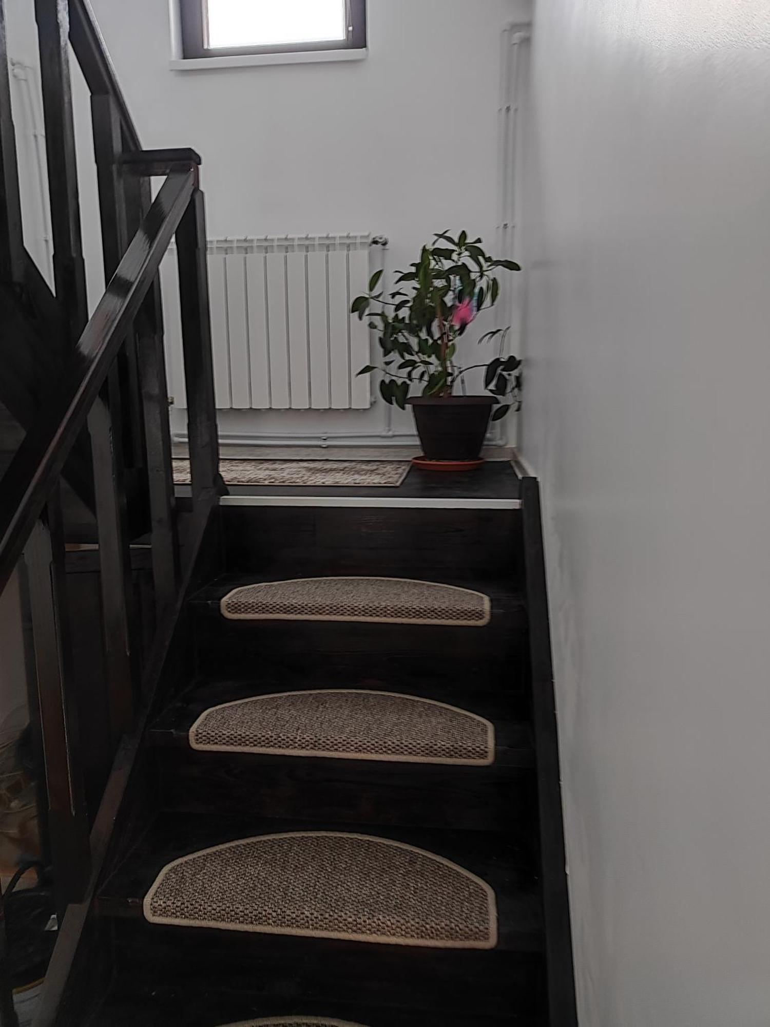 Vila Raisa Neagra Sarului Kültér fotó